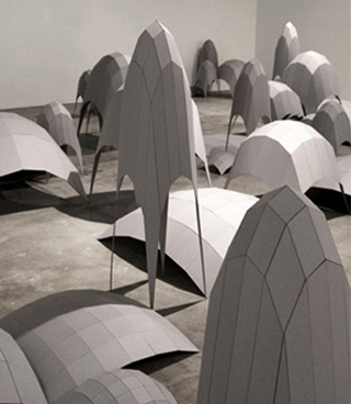 Topograf&iacute;as simuladas, Intervenci&oacute;n, 2007.